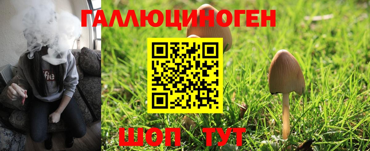 Галлюциногенные грибы Magic Shrooms  Вход с VPN  Псилоцибиновые грибы прущие грибы  Ковров 