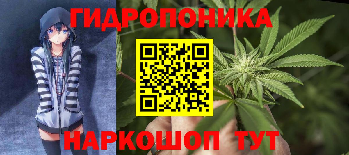 Каннабис AK-47  Вход с VPN  Конопля семена  Ковров  Марихуана LSD WEED 